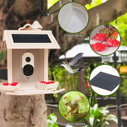 Bird feeder with camera and AI bird recognition for the garden - With built-in solar cell